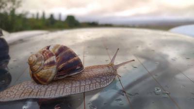 Прикрепленное изображение: IMG_20191005_174038.jpg